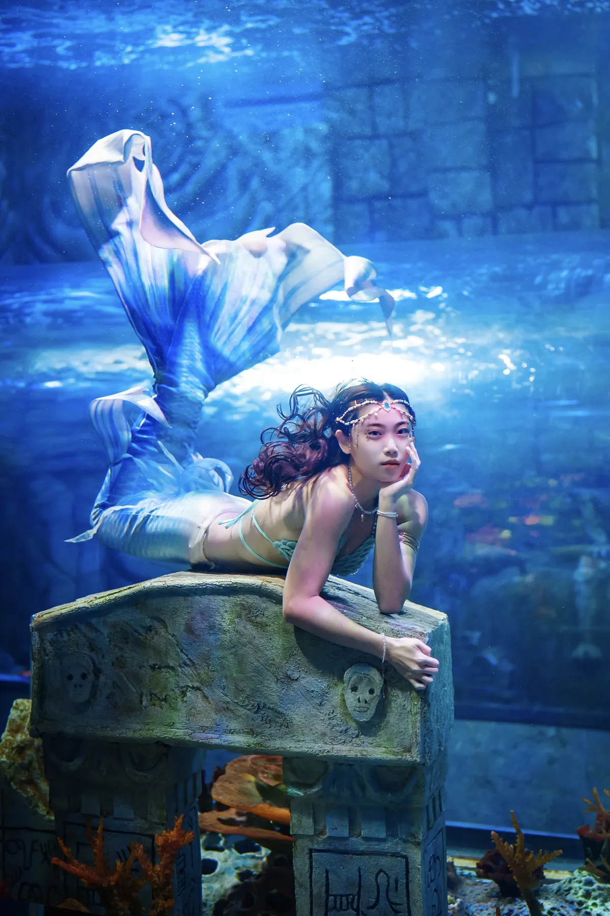 CrazyNioNio — 印度人魚表演水族館官方攝影 4