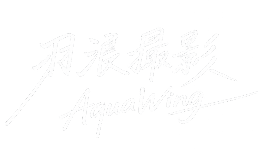 AquaWing