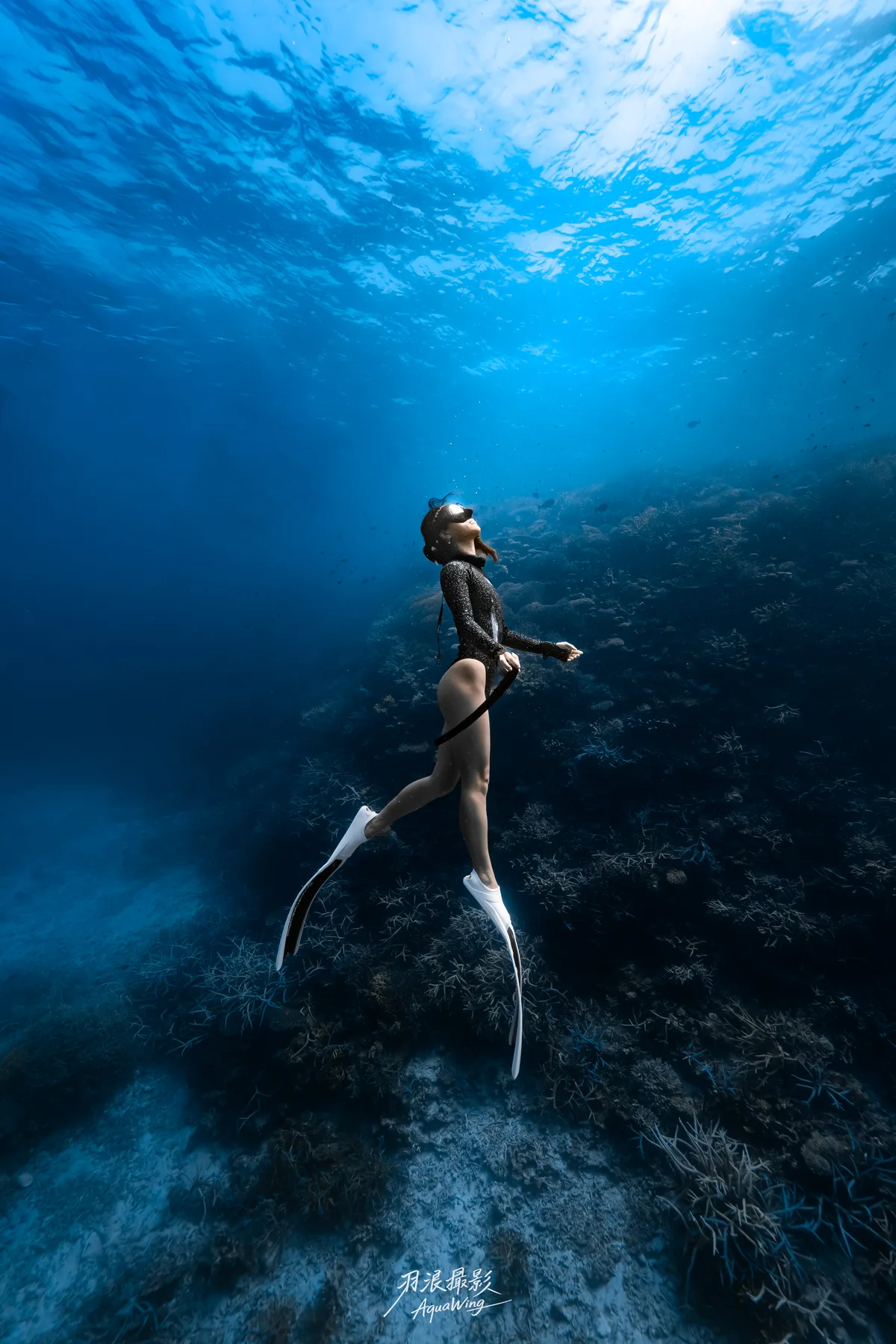 CrazyNioNio — 宮古島自由潛水攝影 Miyakojima freediving underwater photography 1