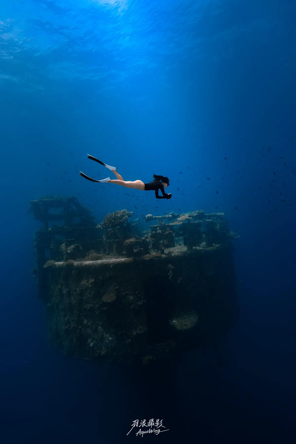 CrazyNioNio — 宮古島自由潛水攝影 Miyakojima freediving underwater photography 2