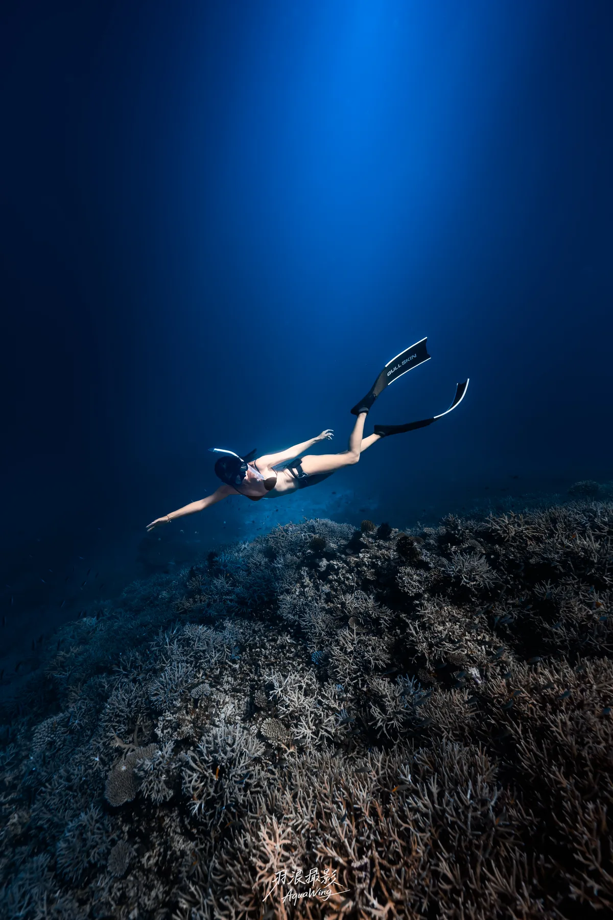 CrazyNioNio — 宮古島自由潛水攝影 Miyakojima freediving underwater photography 5