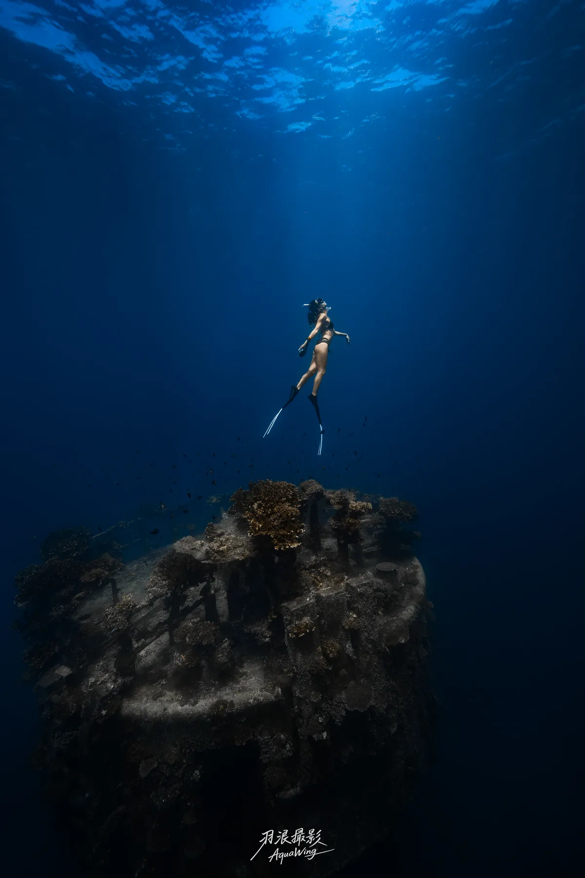 CrazyNioNio — 宮古島自由潛水攝影 Miyakojima freediving underwater photography 6