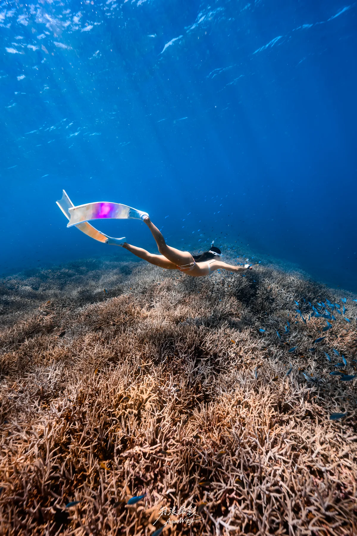 CrazyNioNio — 宮古島自由潛水攝影 Miyakojima freediving underwater photography 9